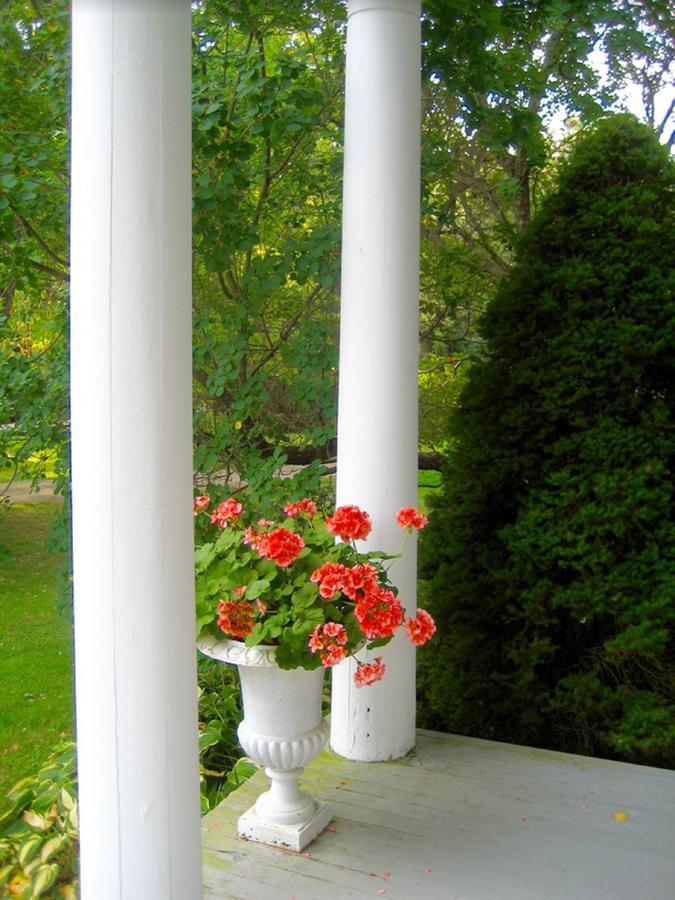Millbrook Country House 外观 照片