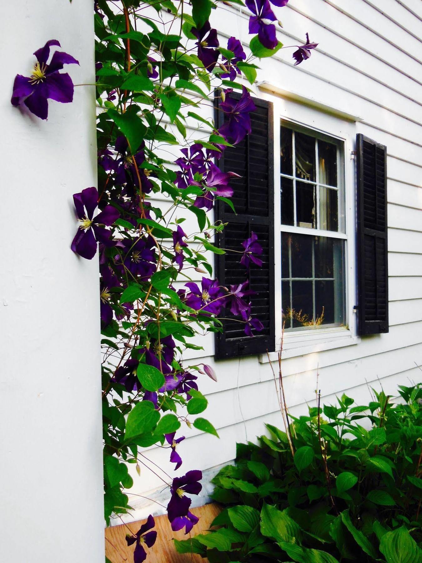Millbrook Country House 外观 照片