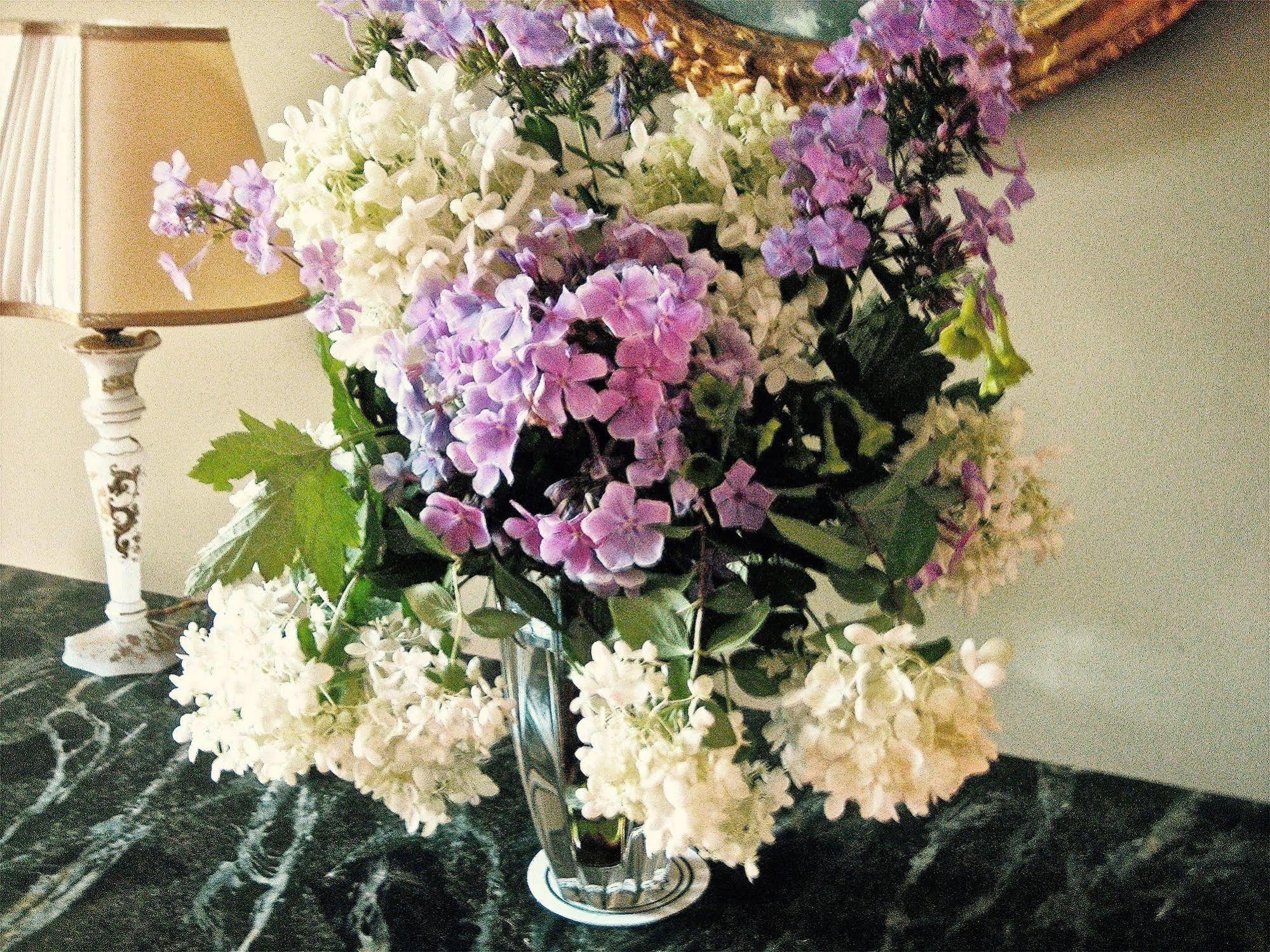 Millbrook Country House 外观 照片